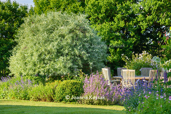 Old Vicarage, Designer Kate Smith, All Photos © Joanna Kossak