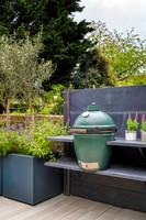 Camberwell garden in Summer