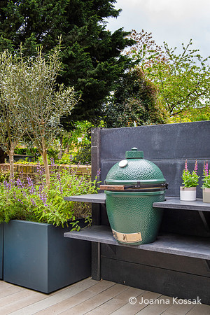 Camberwell garden in Summer