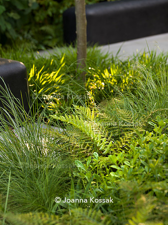 Edge Hill garden. Designer Tom Howard. All Photos © Joanna Kossak