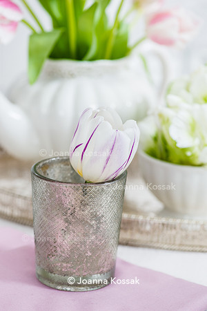 Tulipa 'Flaming Flag' (Triumph Tulip) in reflective glass container