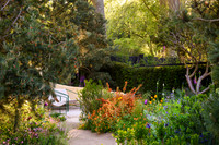 Stroke Association’s Garden for Recovery, Designer Miria Harris