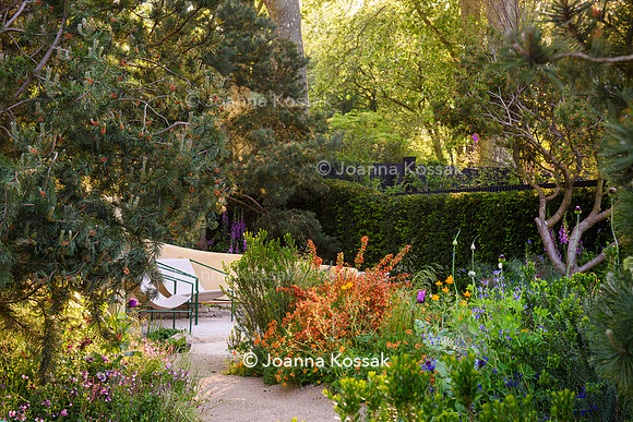 Stroke Association’s Garden for Recovery, Designer Miria Harris