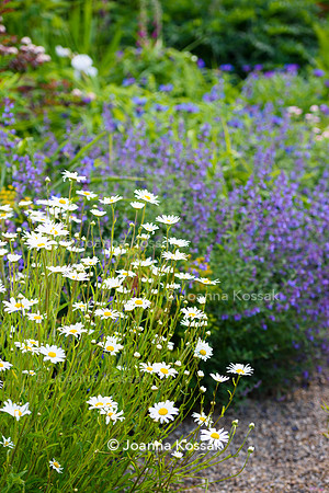 Old Vicarage, Designer Kate Smith, All Photos © Joanna Kossak