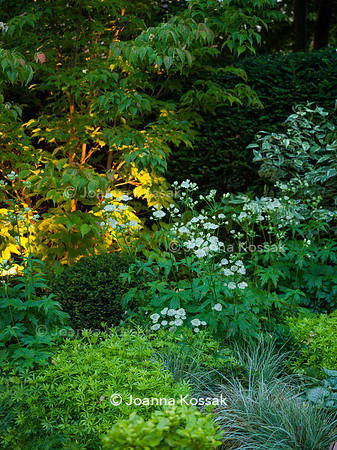 Edge Hill garden. Designer Tom Howard. All Photos © Joanna Kossak