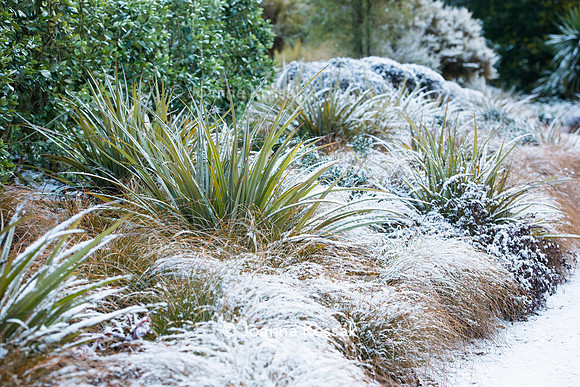 Hyde Hall Garden