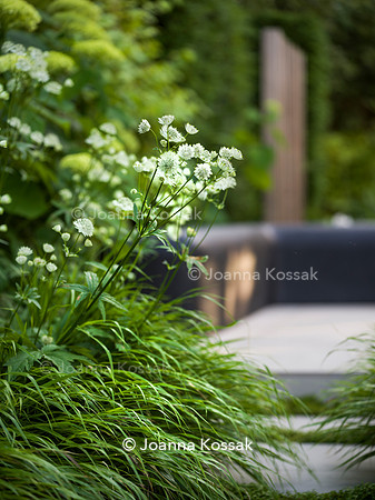 Edge Hill garden. Designer Tom Howard. All Photos © Joanna Kossak