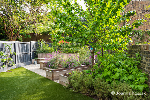 Camberwell garden in Summer