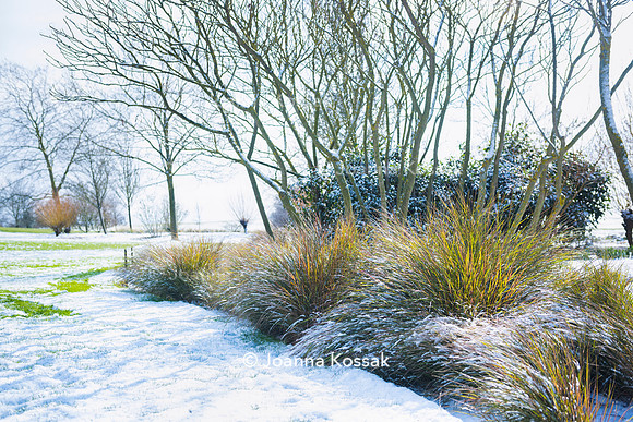 Hyde Hall Garden