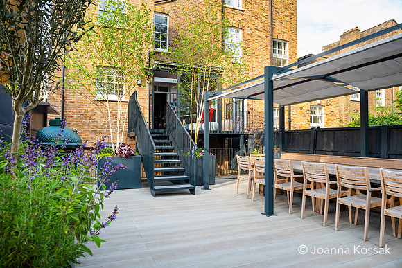 Camberwell garden in Summer