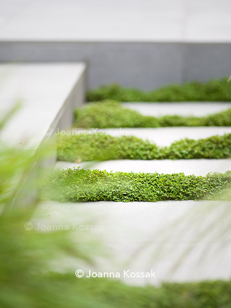 Edge Hill garden. Designer Tom Howard. All Photos © Joanna Kossak