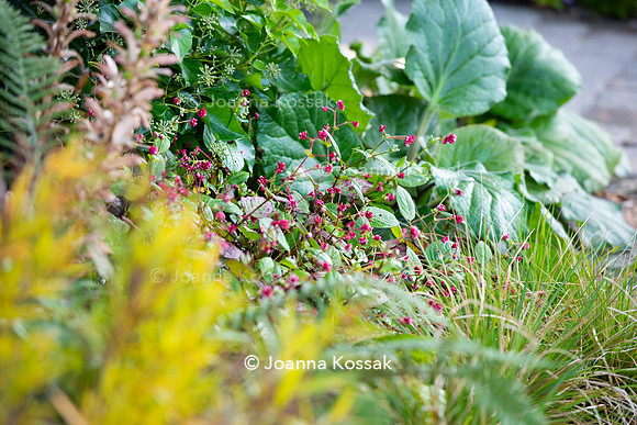 The M&G Garden, Desiners: Charlotte Harris and Hugo Bugg