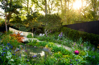 Stroke Association’s Garden for Recovery, Designer Miria Harris
