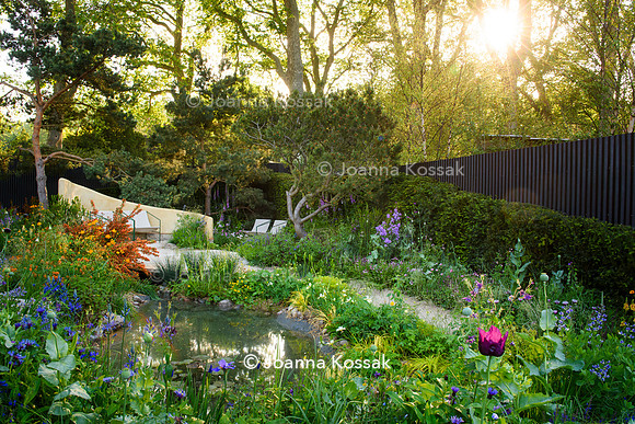 Stroke Association’s Garden for Recovery, Designer Miria Harris