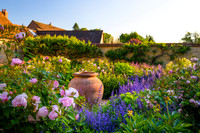 Ditton garden