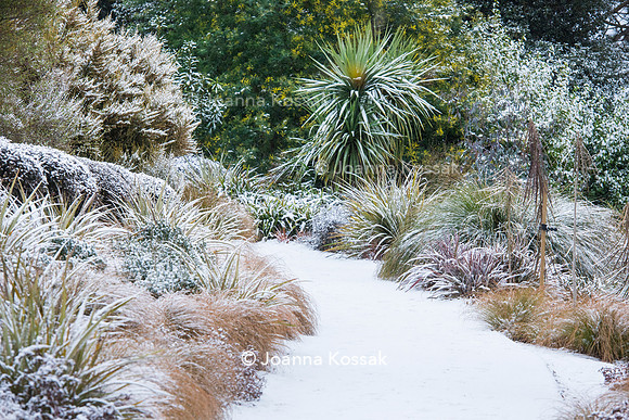 Hyde Hall Garden