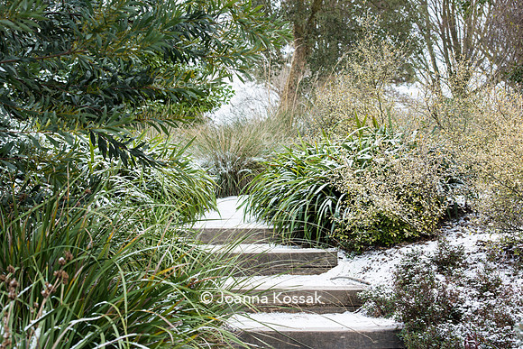 Hyde Hall Garden